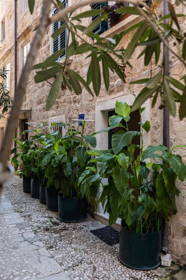 B&B Buza House Dubrovnik Ngoại thất bức ảnh